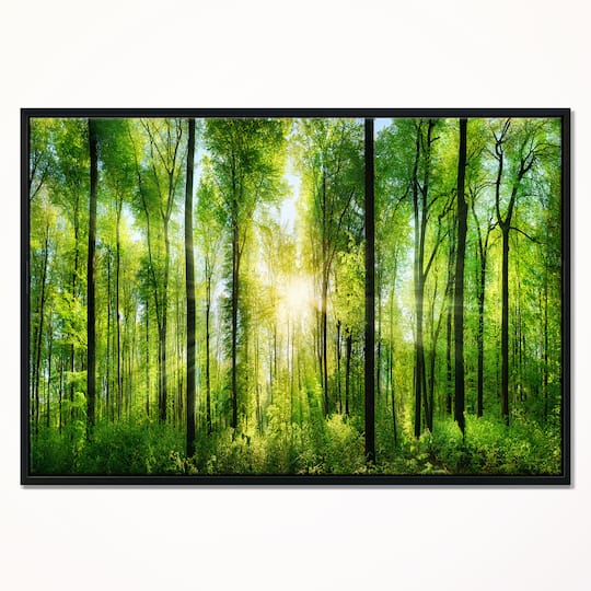 Designart - Forest with Rays of Sun Panorama